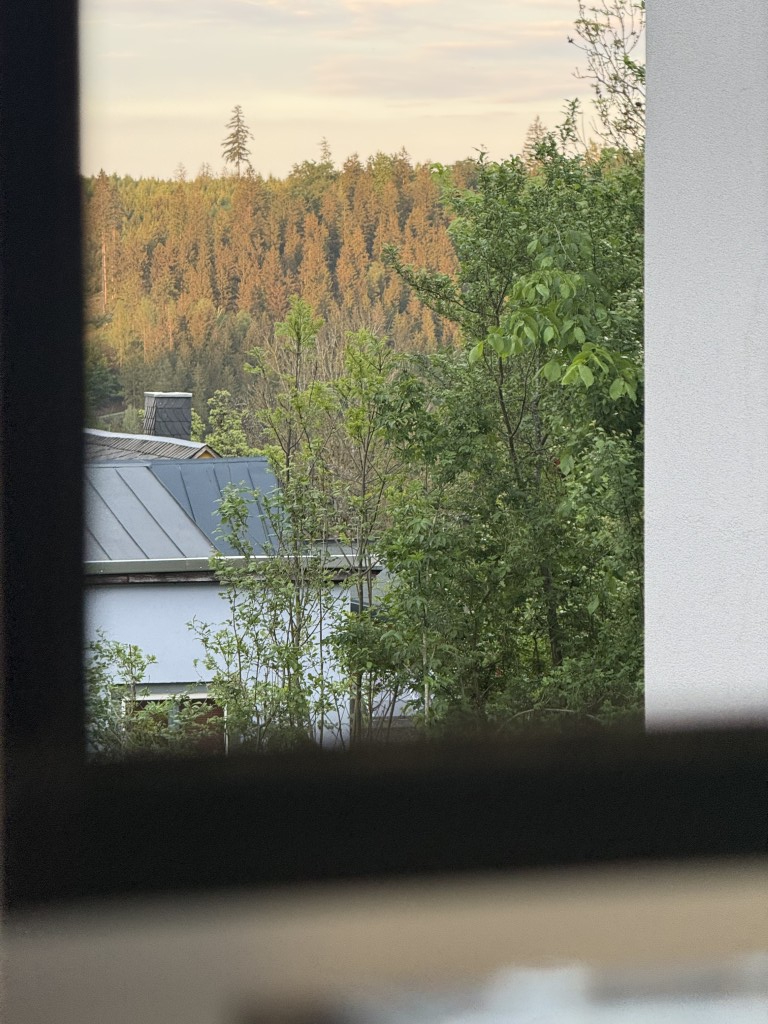 Frankenwald View aus dem Nordwald Space