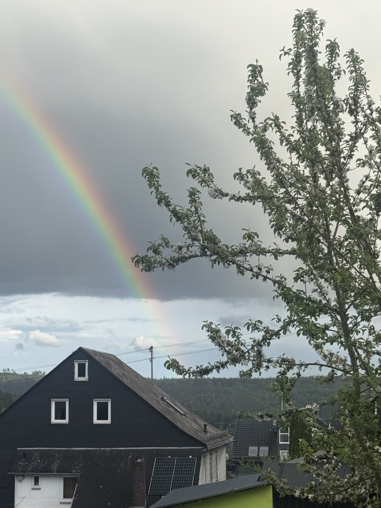 Frankenwald im Mai Regenbogen