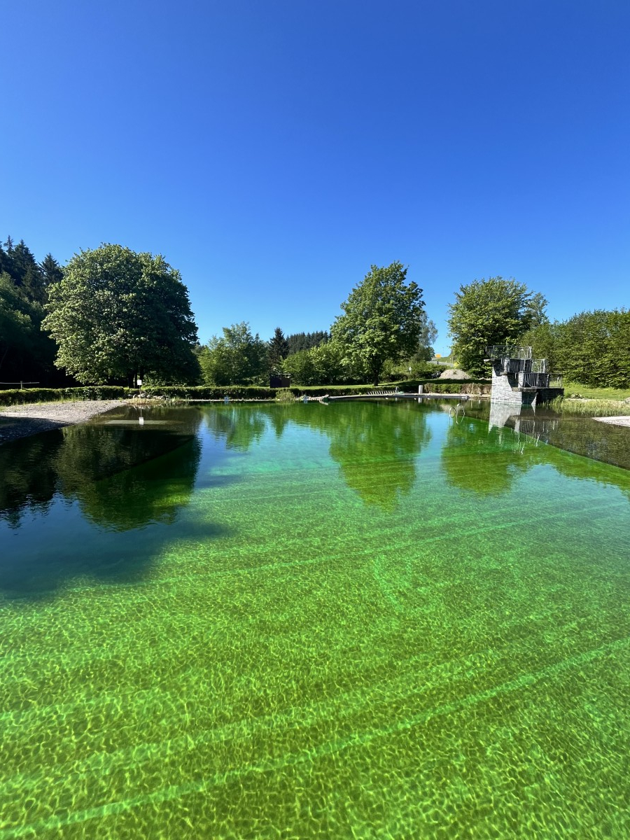 Naturbad Nordhalben im Sommer 2026