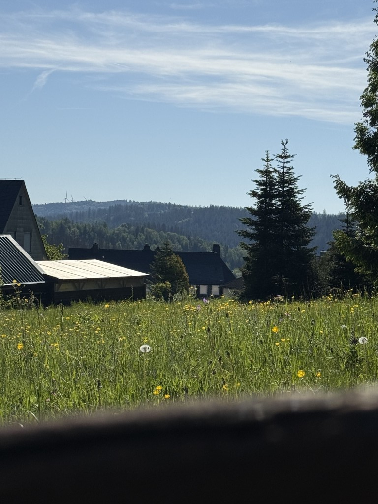 Nordhalben Sommer 2026